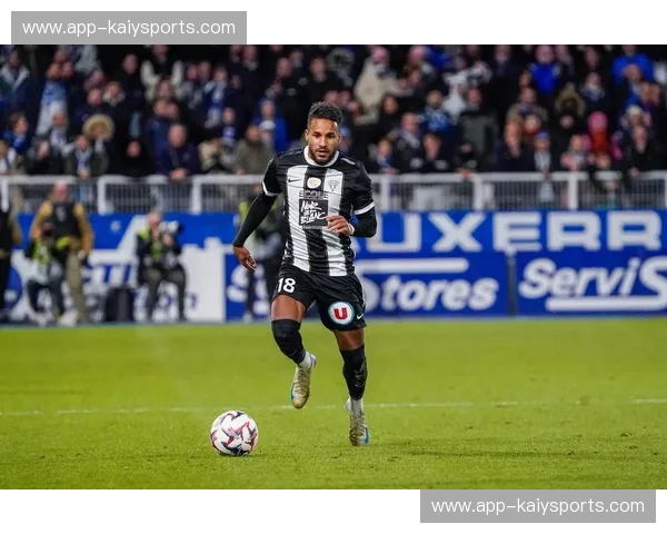 欧塞尔vs图尔：勃艮第与卢瓦尔的诗意对决，一场味蕾与灵魂的邂逅