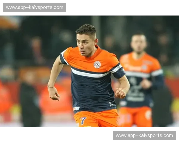 绿茵逐梦，荣耀之光：里昂与蒙彼利埃的法甲史诗对决